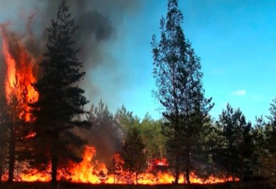 Пожар се разгоря край Казанлък