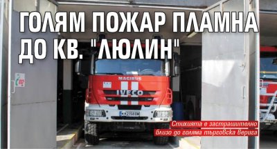 Голям пожар пламна до кв. "Люлин"