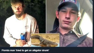 Американци напиха алигатор с бира, арестуваха ги