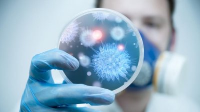 Откритие! Нов антибиотик в корените на див боб