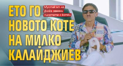 Ето го новото коте на Милко Калайджиев 