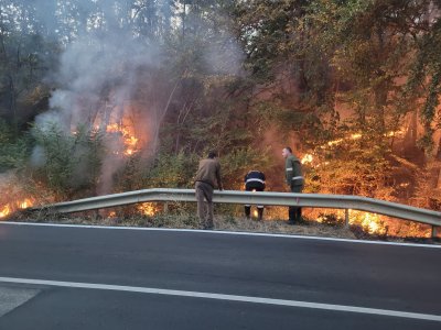 Втори ден гасят пожара в горите до село Соколово