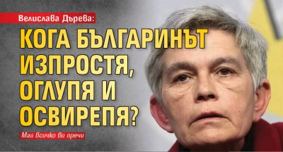 Велислава Дърева: Кога българинът изпростя, оглупя и освирепя?