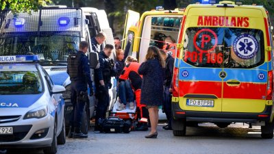 5-годишно дете загина при нападение с нож в Полша
