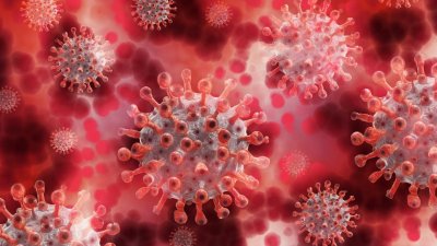 Новите коронавирусни инфекции за изминалото денонощие в България са 376, двама са починали