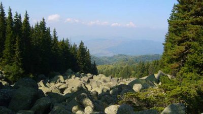 Планината Витоша е обявена за Национален парк с Постановление IIIа