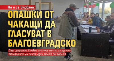 Не е за вярване: Опашки от чакащи да гласуват в Благоевградско