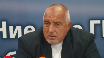 Борисов: Всяка партия е свободна да прави каквото желае 