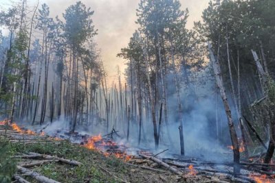 През изминалото денонощие са загасени 162 пожара в страната 