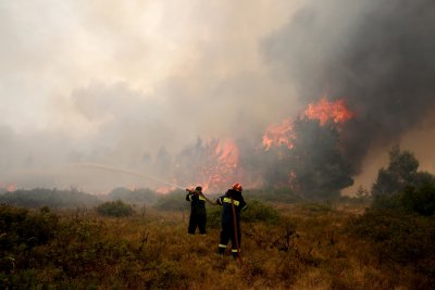 154 пожара са загасени в страната през изминалото денонощие