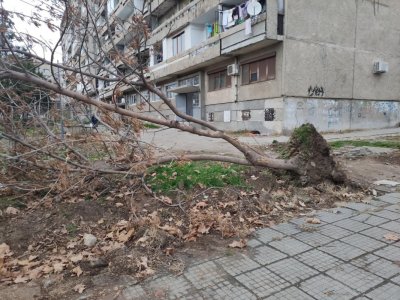 23 населени места в Търговище са без ток