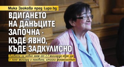 Мика Зайкова пред Lupa.bg: Вдигането на данъците започна - къде явно, къде задкулисно 