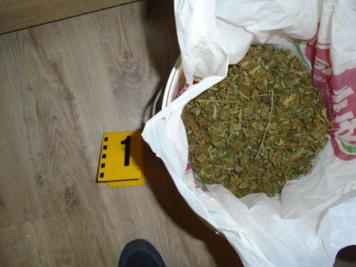 Повдигнаха обвинение на дилъра, задържан с голямо количество марихуана в Шумен