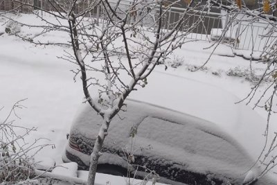15 см сняг на Скобелево и Върховръх (СНИМКИ)