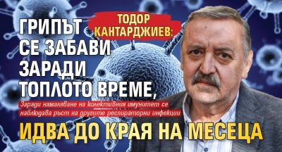 Тодор Кантарджиев: Грипът се забави заради топлото време, идва до края на месеца