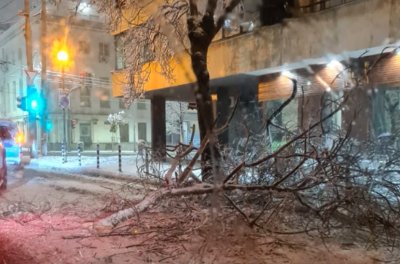 35 см. сняг падна в София