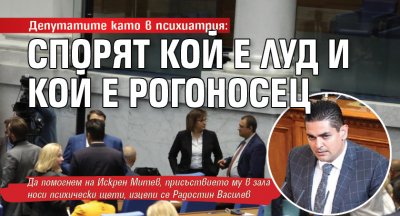 Депутатите като в психиатрия: Спорят кой е луд и кой е рогоносец