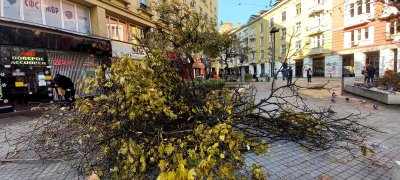 Седмица след падналия сняг който блокира България и мнозина го
