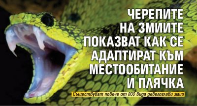 Черепите на змиите показват как се адаптират към местообитание и плячка