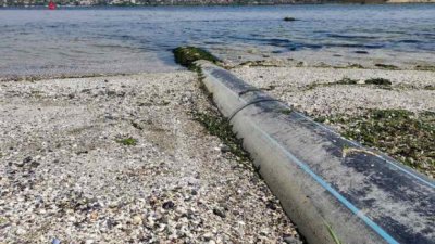 Повдигнаха обвинение на Портних заради замърсяването на Варненското езеро