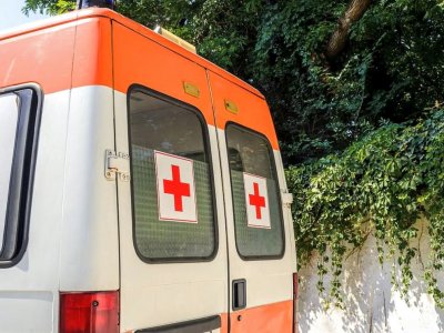 Мъж е в тежко състояние след удар от дърво в Софийско съобщиха