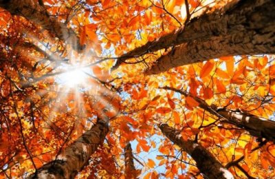 НИМХ: Това бе най-топлата есен от почти 100 години насам