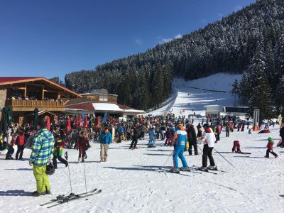 Според проучване на Ellis Bringham средната ски ваканция в Европа може да