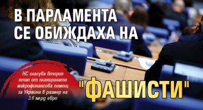 В Парламента се обиждаха на "фашисти"