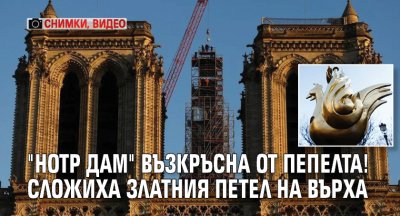 "Нотр Дам" възкръсна от пепелта! Сложиха златния петел на върха (снимки, видео)