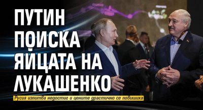 Руският президент Владимир Путин шеговито помоли беларуския си колега Александър Лукашенко  да не бъде