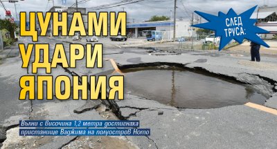 След труса: Цунами удари Япония