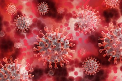 Учени изследват реакциите на организма на вариантите на новия коронавирус