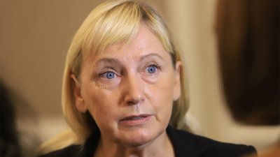Йончева: Сделката за Шенген щеше да е добра, ако беше по суша