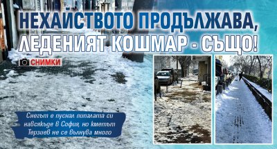 Проблемите със снега и леда в София продължават но явно