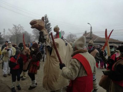 Обичаят „Камилата“ ще се играе в ловешкото село Йоглав