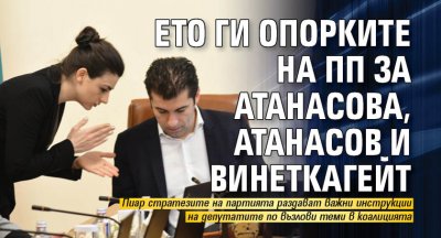 Ето ги опорките на ПП за Атанасова, Атанасов и Винеткагейт