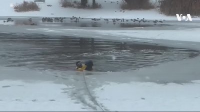 Куче спаси стопанина си, пропаднал в ледено езеро (Видео)