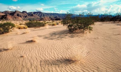 Открити са шест тела в пустинята Мохаве в югоизточната част