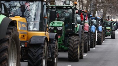 Българската аграрна камара БАК обяви готовност за ефективни протестни действия  Те