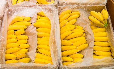 Русия спря вноса на банани от Еквадор