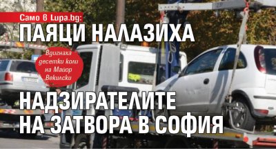 Само в Lupa.bg: Паяци налазиха надзирателите на затвора в София