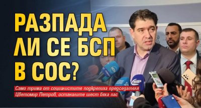 Разпада ли се БСП в СОС?