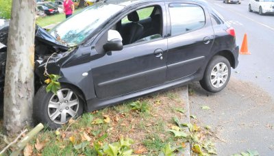 Млад шофьор без книжка се блъсна в дърво в Плевен, с опасност за живота е