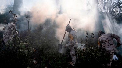 Пожарите в мексиканския щат Баха Калифорния взеха най-малко две жертви