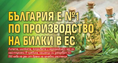 България е №1 по производство на билки в ЕС