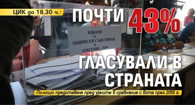 ЦИК до 18,30 ч.: Почти 43% гласували в страната 