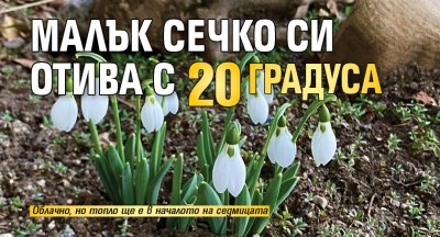 Малък Сечко си отива с 20 градуса