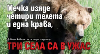 Мечка изяде четири телета и една крава, три села са в ужас
