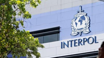 Испанската полиция в сътрудничество с Интерпол е арестувала 53 ма души