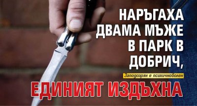 Наръгаха двама мъже в парк в Добрич, единият издъхна
